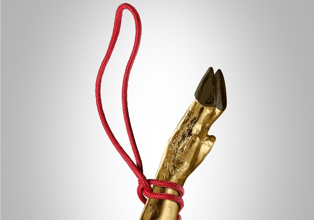 CORDONES EXCLUSIVOS PARA JAMÓN “PREMIUM“