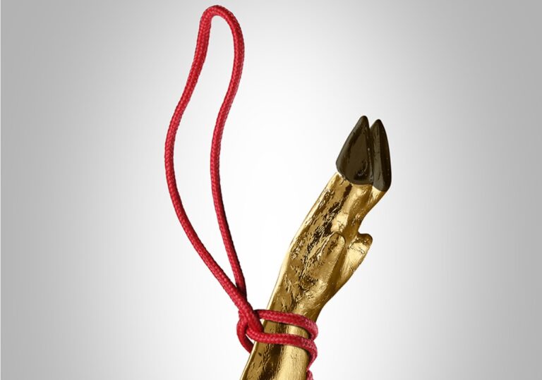 CORDONES EXCLUSIVOS PARA JAMÓN “PREMIUM“